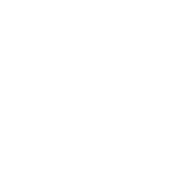 wasd keys